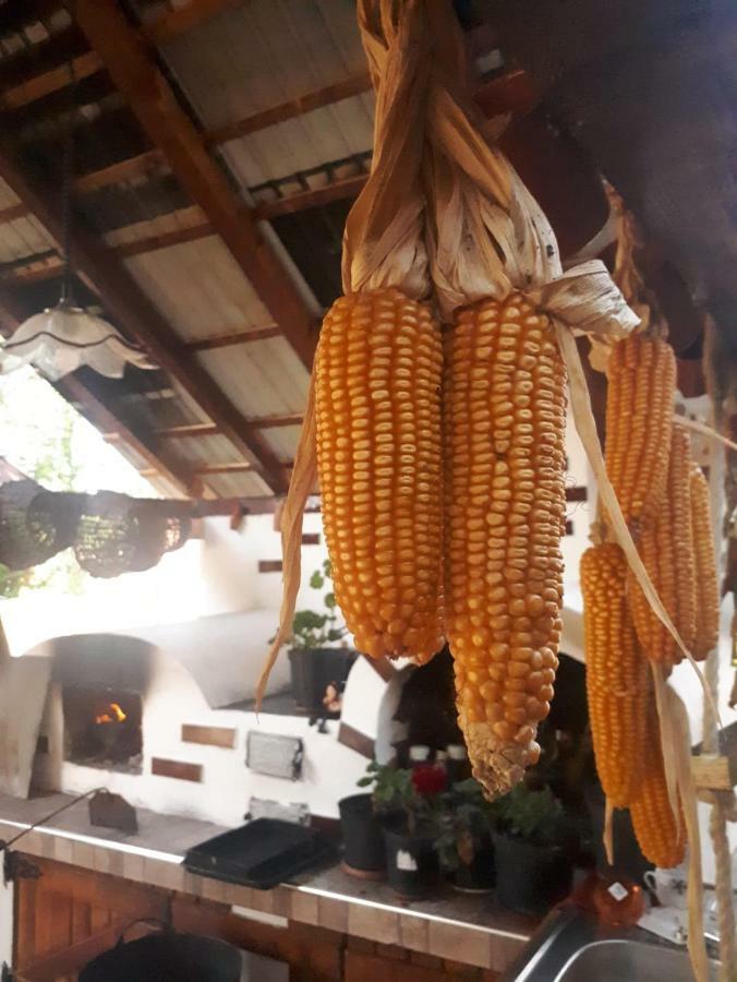 Pensiunea Casa Godja Valeni  Luaran gambar