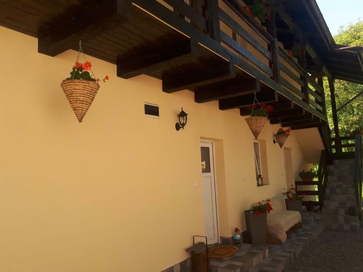 Pensiunea Casa Godja Valeni  Luaran gambar